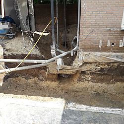Koihouden gaat niet altijd over rozen: afbeelding 11