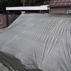 Koihouden gaat niet altijd over rozen: afbeelding 15