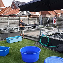 Leven in de brouwerij: afbeelding 2