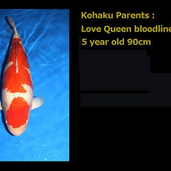Love Queen van Momotaro: afbeelding 1