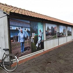 Mag het ook iets anders zijn dan koi: afbeelding 19
