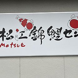 Matsue Yamabuki-Mukashi: afbeelding 1