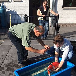 Matthijs en Polleke nog eens aan de beurt: afbeelding 1