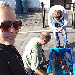 Matthijs en Polleke nog eens aan de beurt: afbeelding 3