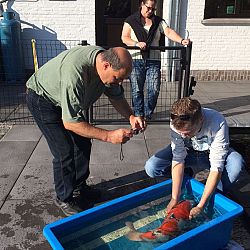 Matthijs en Polleke nog eens aan de beurt: afbeelding 4