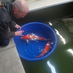 Meer mensen dan verwacht: afbeelding 3