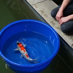 Meer mensen dan verwacht: afbeelding 5