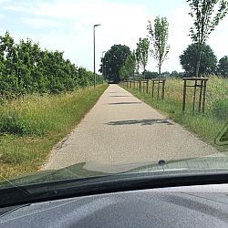 De klassebakken van de koibar: afbeelding 8