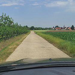 De klassebakken van de koibar: afbeelding 9
