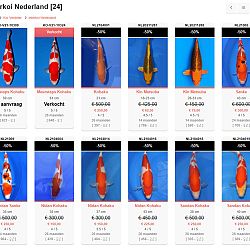 Meer moet dat niet zijn !: afbeelding 1