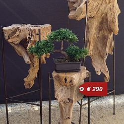 Meubelen en kunstwerken in Teakwood: afbeelding 3