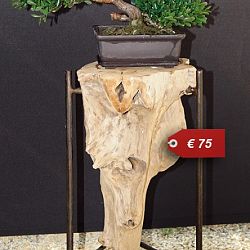 Meubelen en kunstwerken in Teakwood: afbeelding 5