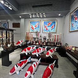 Mijn bezoek aan de Chinese koiwereld: afbeelding 12