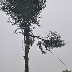 Mijn eerste kap is gelegd: afbeelding 4