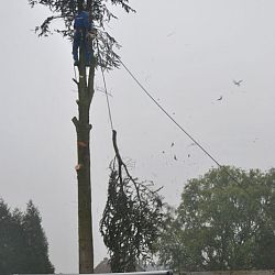 Mijn eerste kap is gelegd: afbeelding 5