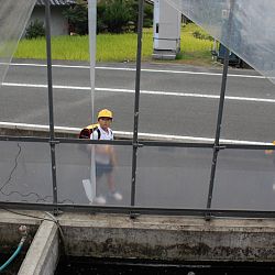 Mijn leermeester Taniguchi San: afbeelding 18