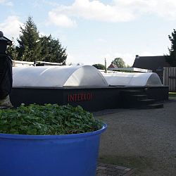 Mijn overkapping: afbeelding 10