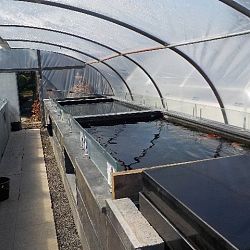 Misschien een goed idee !: afbeelding 6