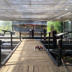 Momoka, de vergeten glorie: afbeelding 3
