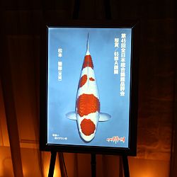 Momotaro Party ter ere van GC 2014: afbeelding 12