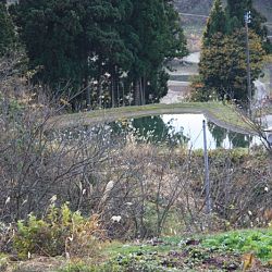 Mudponds, geen uniforme wetenschap: afbeelding 2