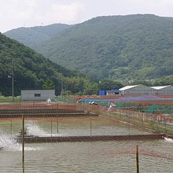 Mudponds, geen uniforme wetenschap: afbeelding 4