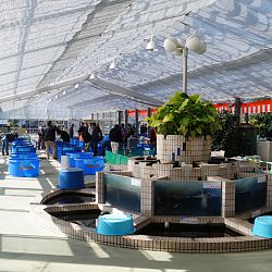 Narita Opensales: afbeelding 1
