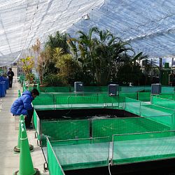 Narita Opensales: afbeelding 2