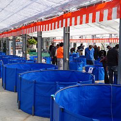 Narita Opensales: afbeelding 3