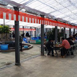 Narita Opensales: afbeelding 4