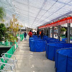 Narita Opensales: afbeelding 5