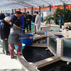 Narita Opensales: afbeelding 7