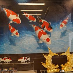 Narita Opensales: afbeelding 9