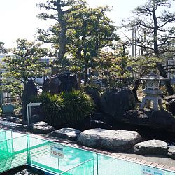 Narita Opensales: afbeelding 11