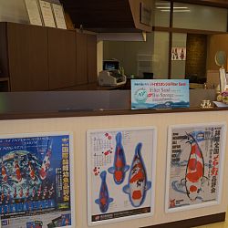 Narita Opensales: afbeelding 12