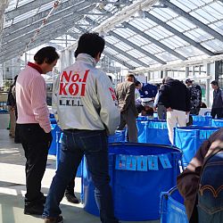 Narita Opensales: afbeelding 19