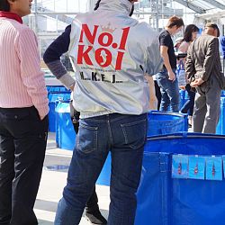 Narita Opensales: afbeelding 20