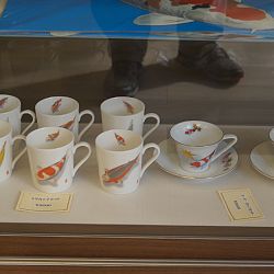 Narita Opensales: afbeelding 37