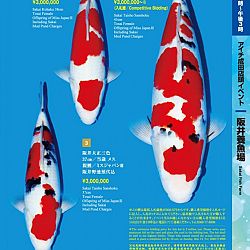 Narita x Sakai, de ideale combinatie: afbeelding 2