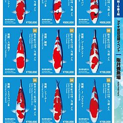 Narita x Sakai, de ideale combinatie: afbeelding 6