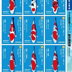 Narita x Sakai, de ideale combinatie: afbeelding 10