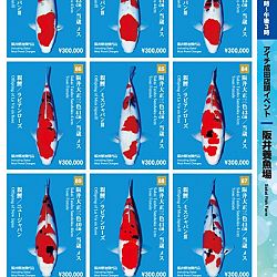 Narita x Sakai, de ideale combinatie: afbeelding 12