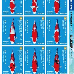 Narita x Sakai, de ideale combinatie: afbeelding 14