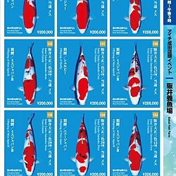 Narita x Sakai, de ideale combinatie: afbeelding 16