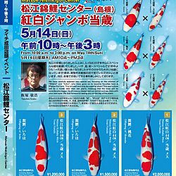 Narita x Sakai, de ideale combinatie: afbeelding 29