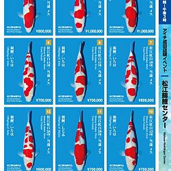 Narita x Sakai, de ideale combinatie: afbeelding 30