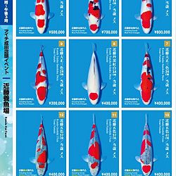 Narita x Sakai, de ideale combinatie: afbeelding 33