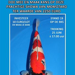 Nieuwe aanbieding 10 jaar Interkoi: afbeelding 1