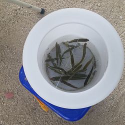 Nog een laatste berichtje: afbeelding 1