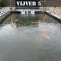 Nog een laatste lap erop...: afbeelding 5